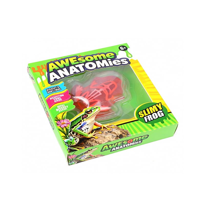 DGJ-20008 Slimy Frog Craft Toy